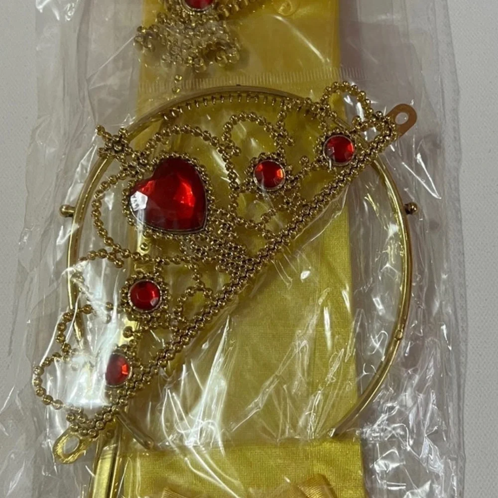 Princess Belle Costume.